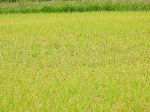 38280E3C-71E6-4772-9FDB-97A2477F7561