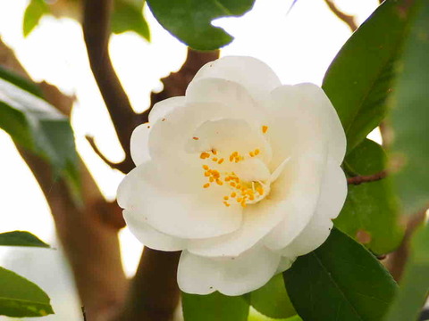 329D8533-14EB-4B7C-976A-F0C64DCC07D9