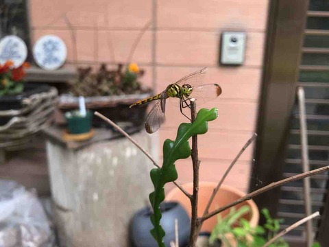 22CBC564-AD42-4926-8C23-C6E537FB0C19