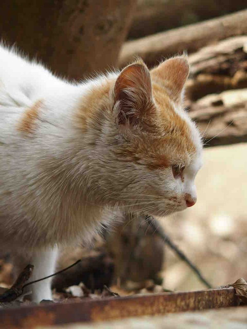 A9D58A20-21E4-4DC4-8534-66AA3E7D95BB