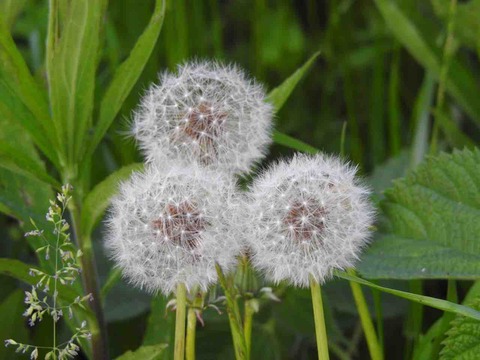 E51DCA67-9E53-4AF8-8811-EBAF128DCABD