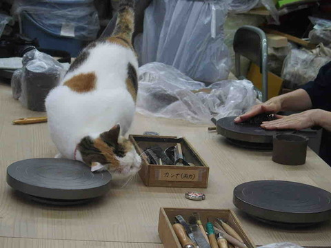 FBFD625E-E8DF-43A3-982C-34350D526C9C