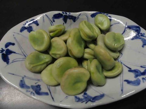 E5E9F76A-548D-4BD6-84E7-C97A4BA6A696