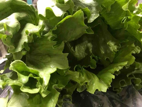 0794B19D-A90B-4213-8009-A1C570CC875F