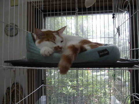 87F70B44-2D16-4FCB-856B-1CEDB3946014