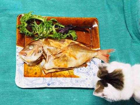 9C6D55D7-46C9-4E77-9648-19B9DFD5F63A