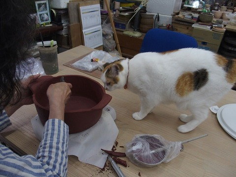 0357C753-D80B-49D8-B08F-5435E7AA9234