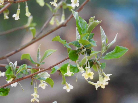 B9E3FD4F-9E26-4055-B6D7-6CF5A3092C63