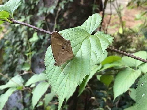 8473A841-A82A-4A6F-B9FE-9C5CF7AD58D0