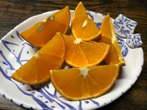 E7298B86-B586-49FF-96F1-28442A925A3A