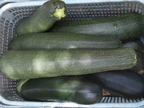 149B5663-5AA1-43DA-A921-DC20C87F5654