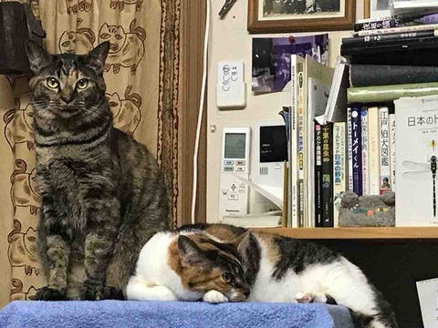 CB5A88F1-C7CC-467C-AAB3-6B93DADCCD0D