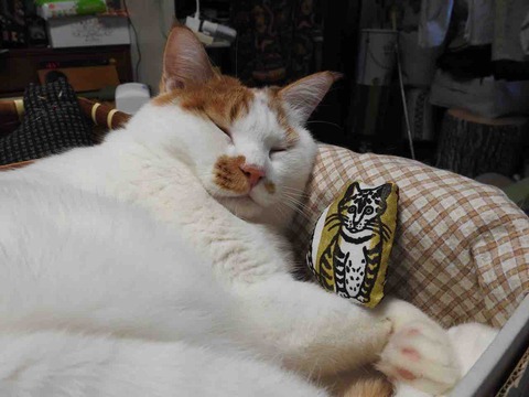 E46DE9EB-1BC0-4080-BD22-B0AC4A6FA0C5