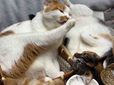 567EB329-1699-445C-A0B3-2D3546634242