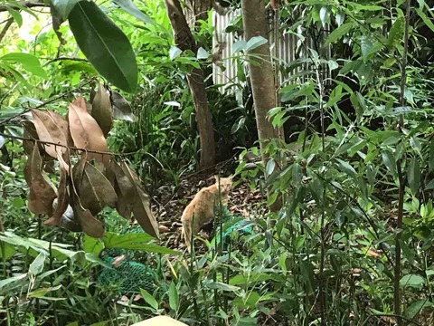 AE6F2C48-9712-4543-9943-0C345CA809FC