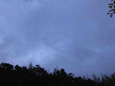 96881552-5F51-4B22-A8E8-CA9756643DCD