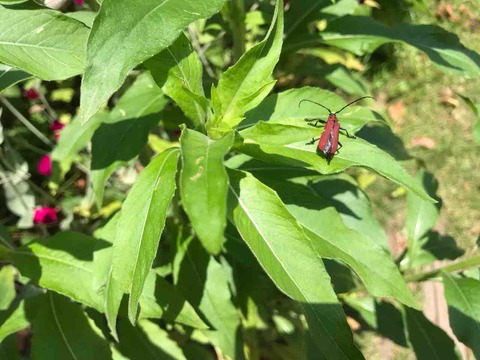 BB0B65BC-635C-4D59-8BBB-ECAE2DB7E84B