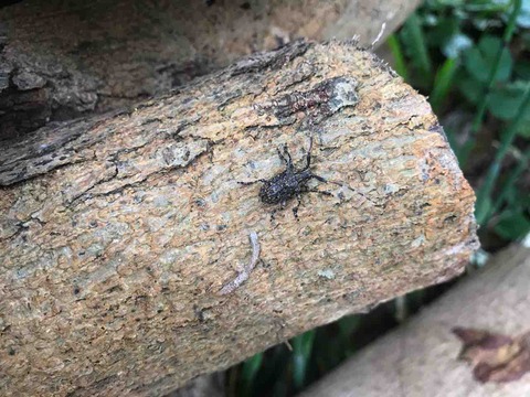 7C8C5494-8E73-40A1-9017-A767279FAC3F