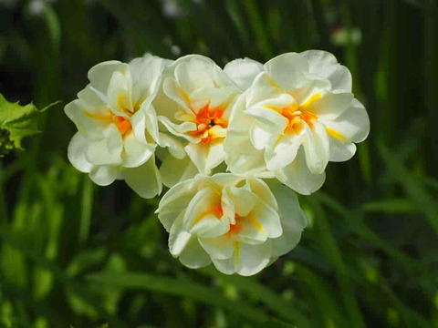 5124D56C-D9C2-41FD-9376-4E5853E7337E