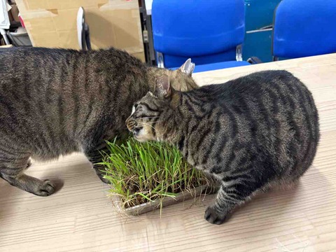 81106D95-324A-4713-9959-41879717AC16