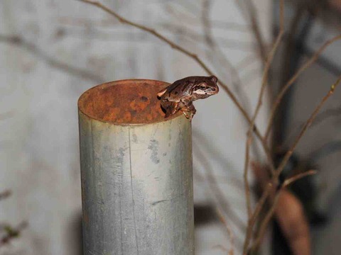 8F1011E6-5FEB-4BF7-9094-49A171CB9753