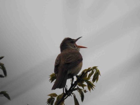 B5DE4D0E-DE06-478C-8EDC-852A9147707C