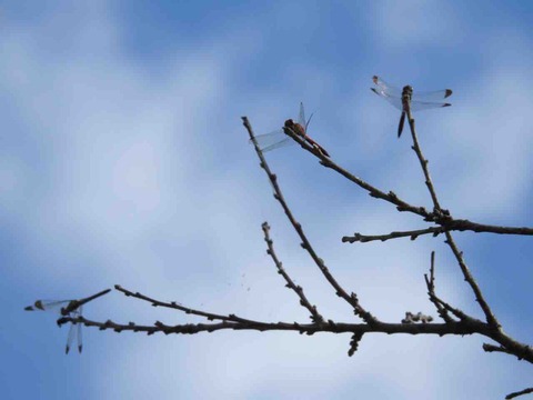 69F0714B-3C6A-401A-82E6-7C4939EE788C