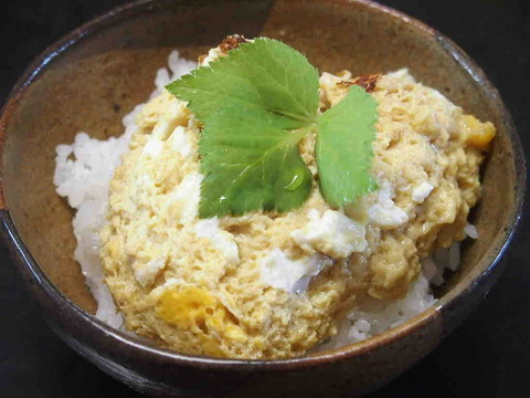 4EA3C91A-E1A5-440A-8AE2-E5D39A974DE9