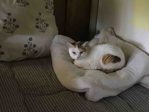 6B987369-EE01-45EC-A6F6-C50521DCE9A3