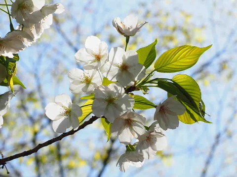 D19349E0-3924-4649-A2D4-31627713C112