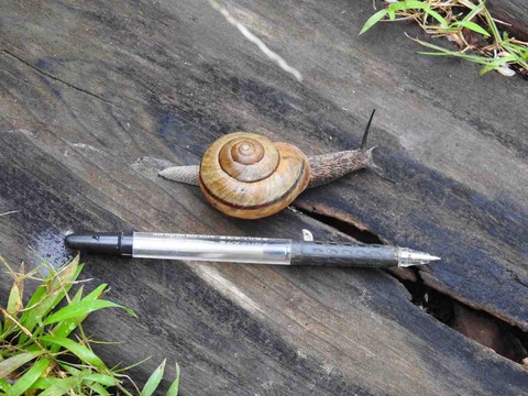 FC90E229-B7D1-4817-A99E-144ED547B5C8