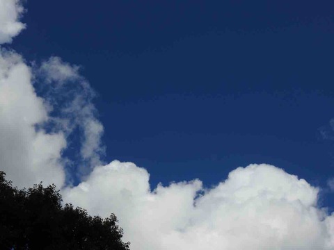 8FD7351E-31F2-4AC3-9BD8-6E19B9C8F979