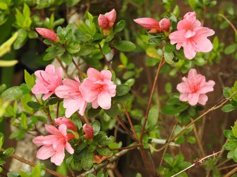 0B3CF064-8F11-40A1-946C-15ADFF2E8972