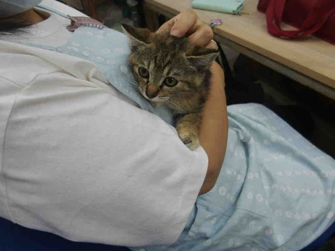 C30DF00A-C88B-47E4-806A-51BE1B0F6123