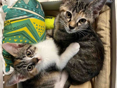 D8E94279-7F33-40A9-B707-C710D2F47626