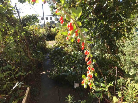 E49982A3-CA1F-42EA-9ED7-28D5E13ECBF3