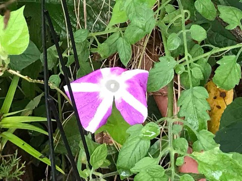 88877145-2505-452B-80DF-12A9894FA16C