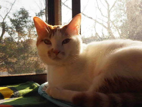 02EC4F8B-6A65-48A2-93A6-0CBB0243F57E