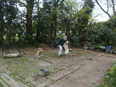 03EBAFF9-C697-4C52-90DA-F0FC54648000