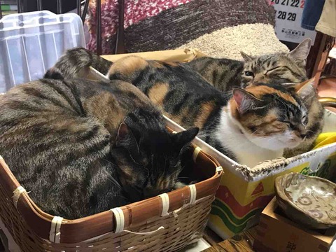 292E0D66-1379-4414-97B5-28B57EC968E9