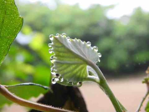 4A287AD2-812D-4756-A44E-39F5252D38B9