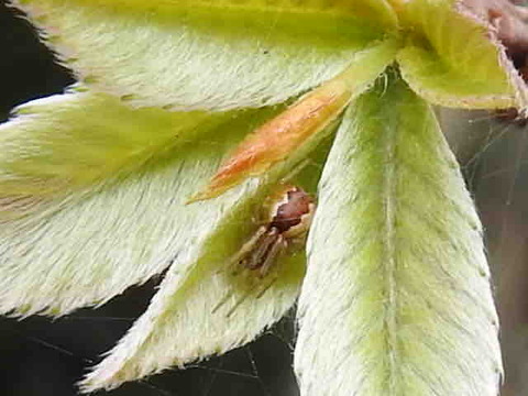 4C97447A-3991-4250-86BD-4044531DCCD5