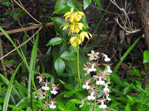 19FECA6E-94B9-436B-94E5-EA2107170965