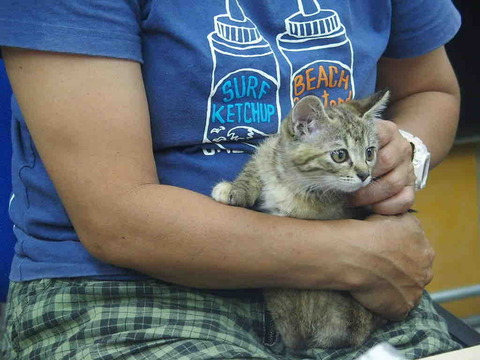 E0557F82-D185-4C09-95E2-B9553927C9D9