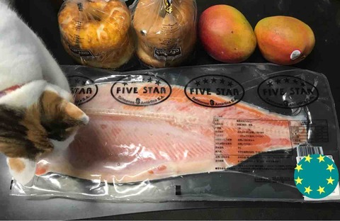 BE4D97CC-1967-4C99-A906-14BEAD9D13D7