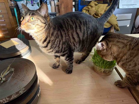 672F5789-9143-4E25-B89D-39123E448437