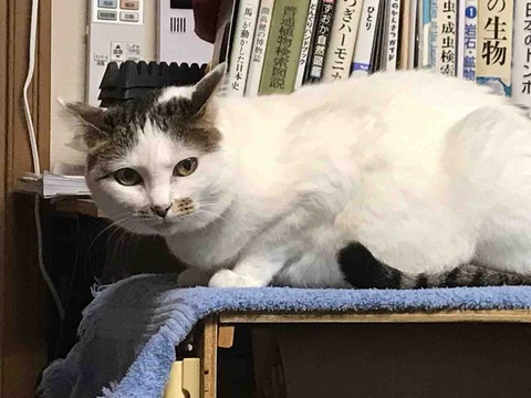 165D543B-756A-47C2-9F1D-86C138A0A56B