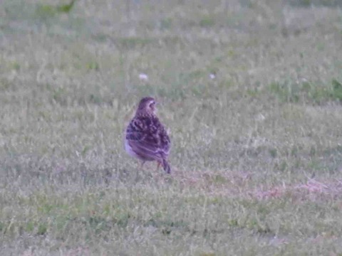 AA2F94CF-2F5C-49EF-AFCB-96ADBE073359