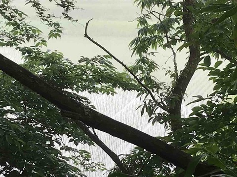 C42DFF80-E9BF-49BF-9E84-A6D3E6035814