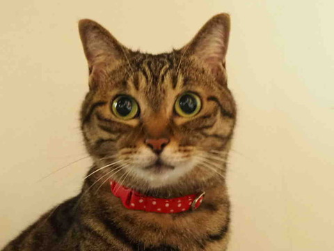 0B372745-5D16-4885-87CA-566D28FAEE29